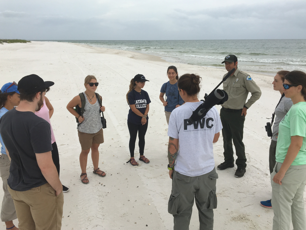 Conservation outcomes and the effectiveness of interventions