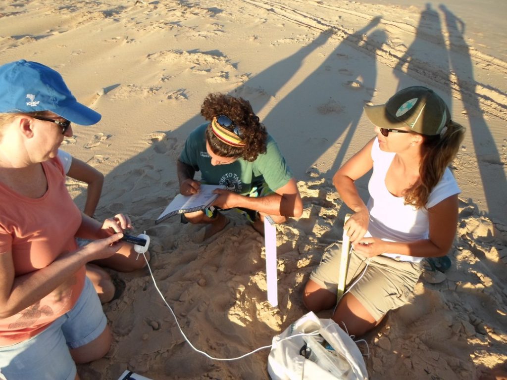 Impacts and adaptive capacity of climate change on marine turtles