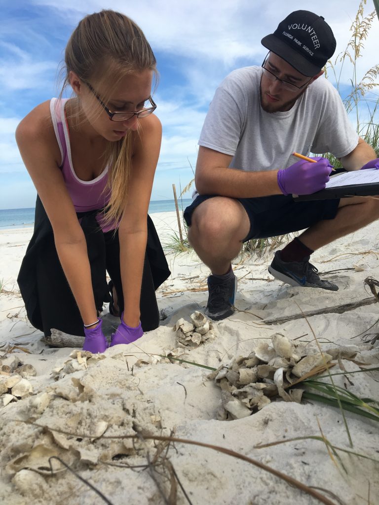 Impacts and adaptive capacity of climate change on marine turtles