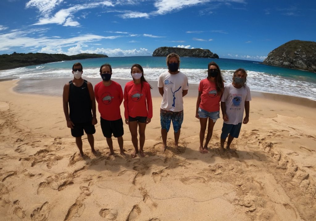 Impacts and adaptive capacity of climate change on marine turtles