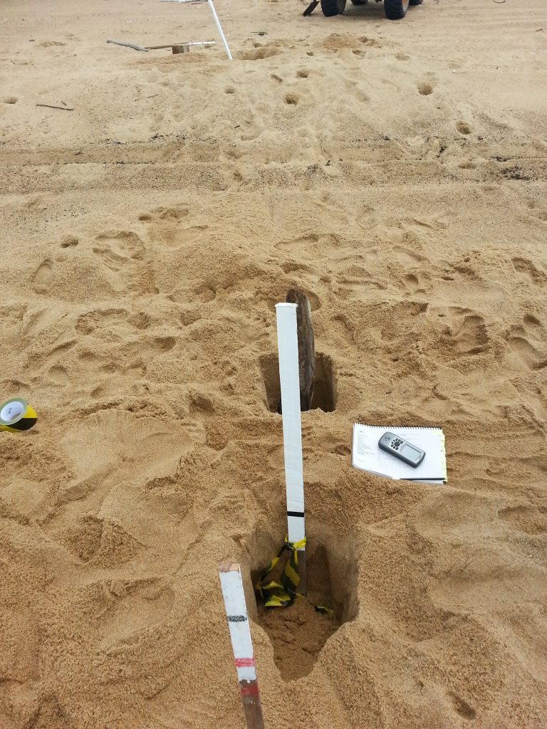 Impacts and adaptive capacity of climate change on marine turtles_10