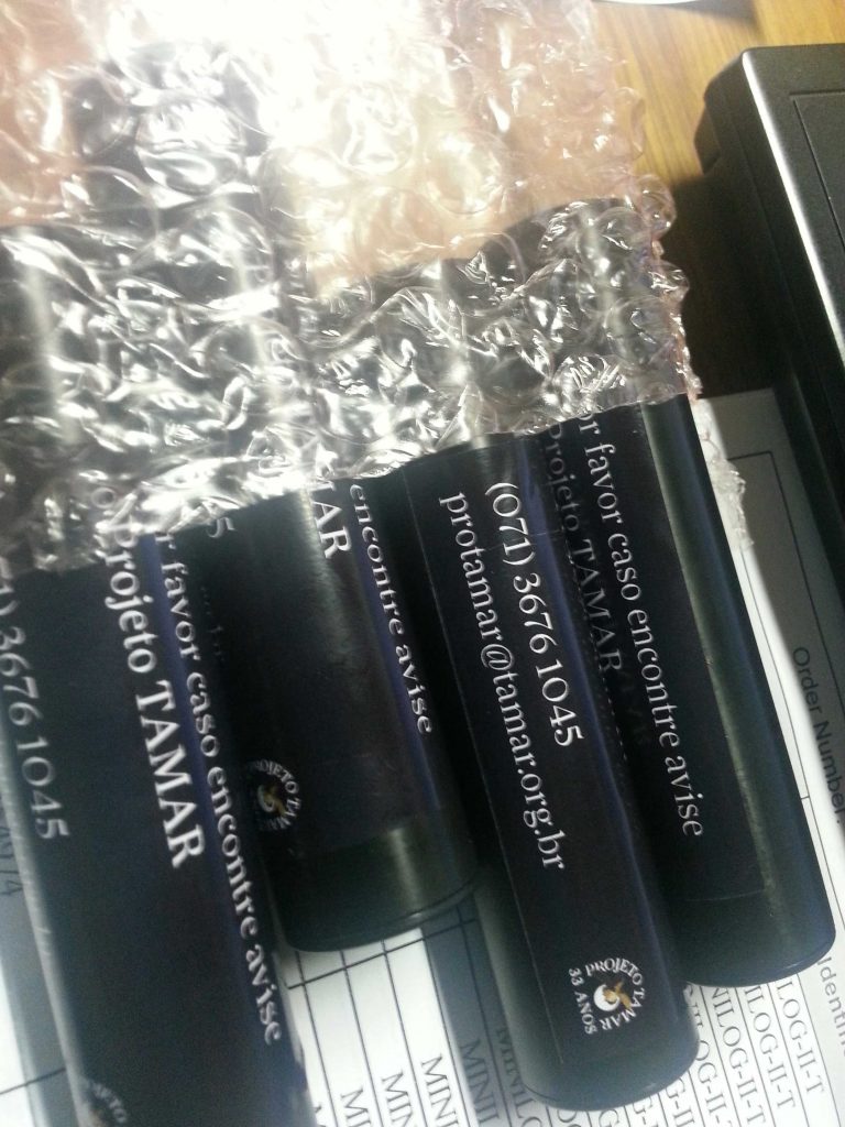 Impacts and adaptive capacity of climate change on marine turtles