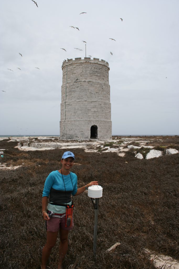 Impacts and adaptive capacity of climate change on marine turtles