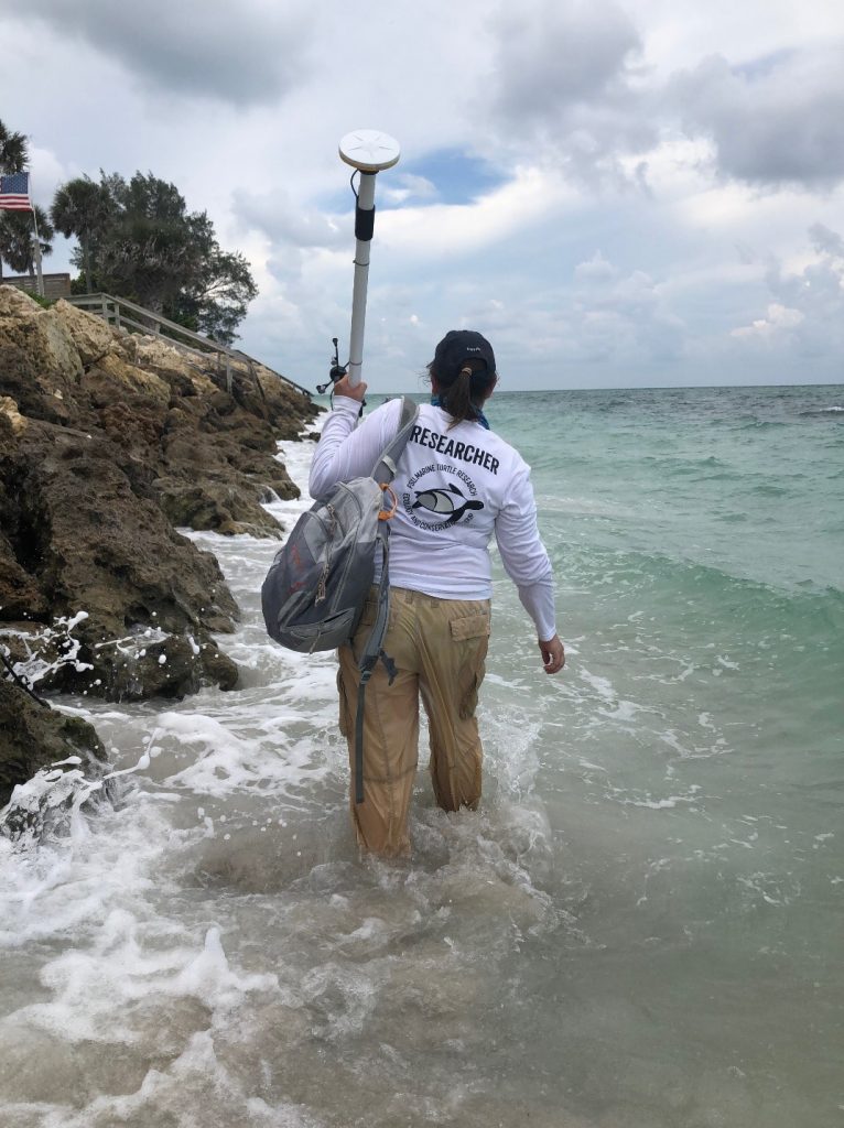 Cumulative impacts of coastal development on marine turtles