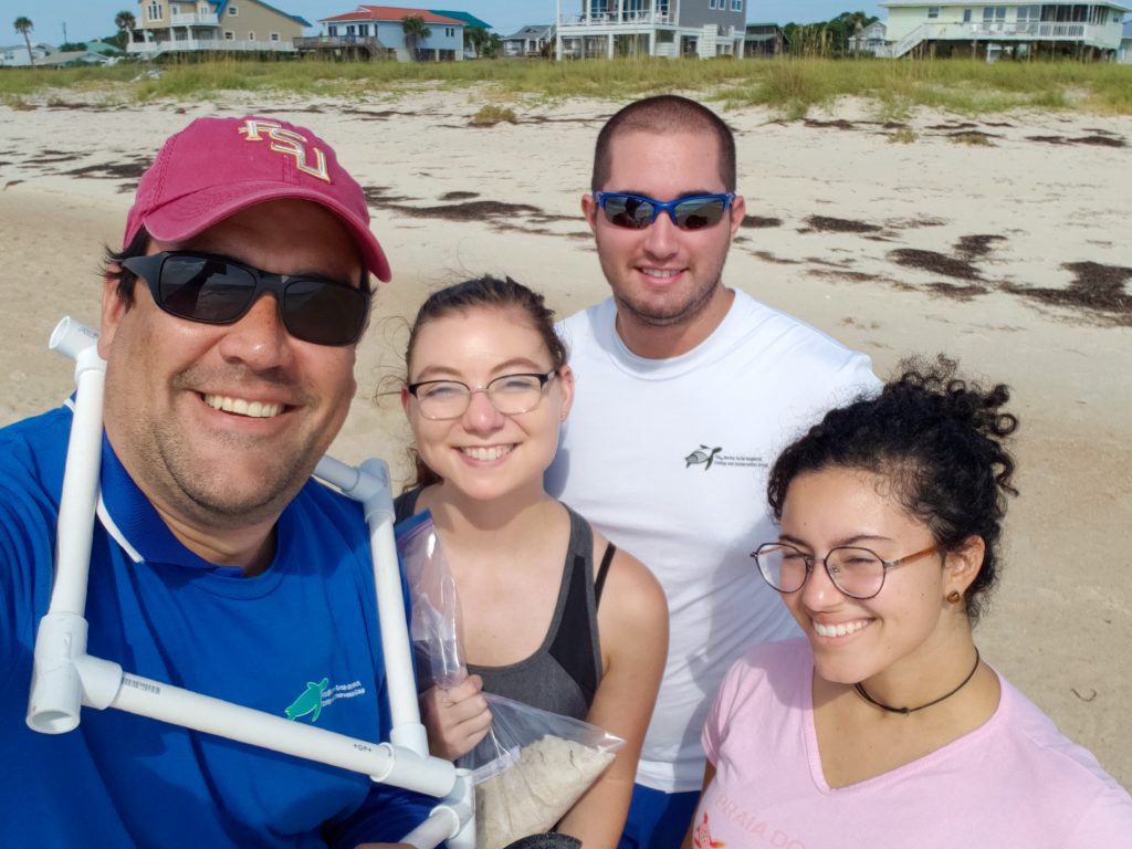 Exposure and risk of marine turtles to marine debris and microplastic