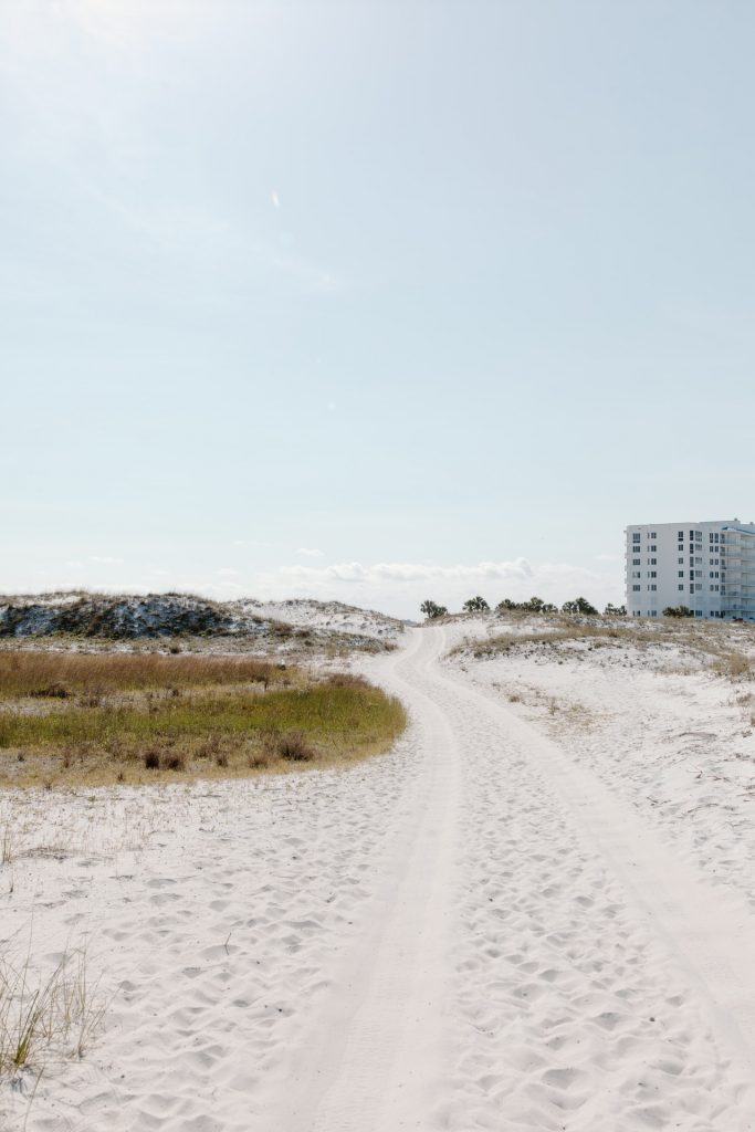 Cumulative impacts of coastal development on marine turtles