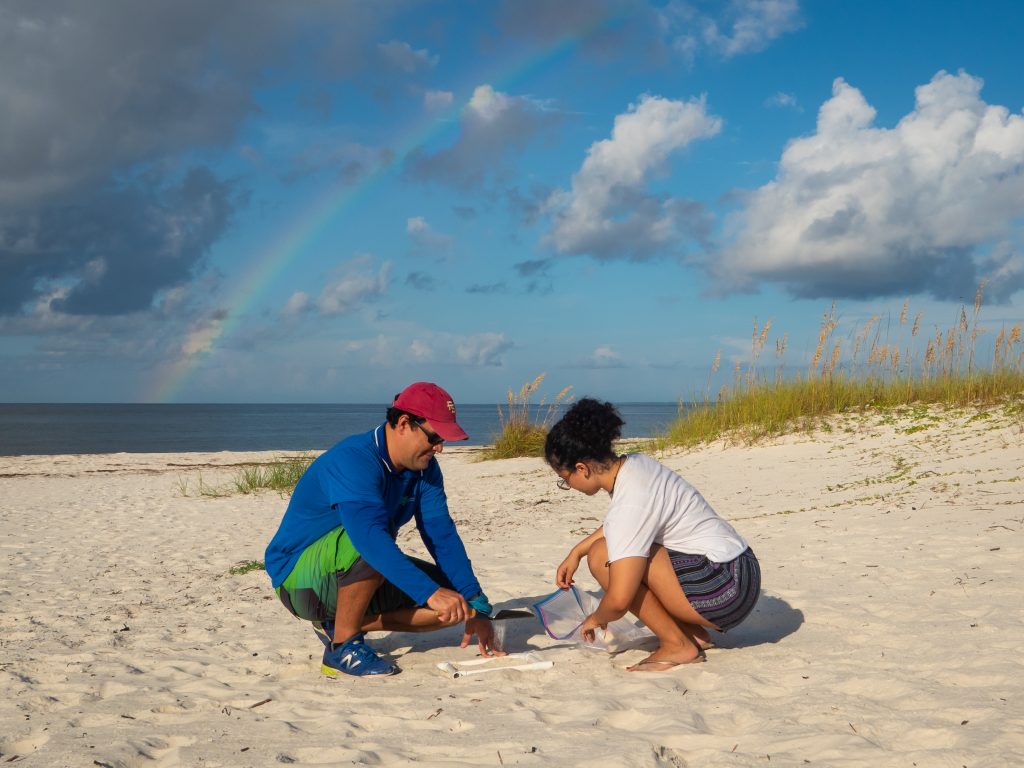 Exposure and risk of marine turtles to marine debris and microplastic