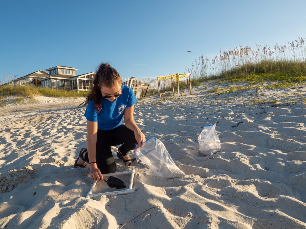 Exposure and risk of marine turtles to marine debris and microplastic