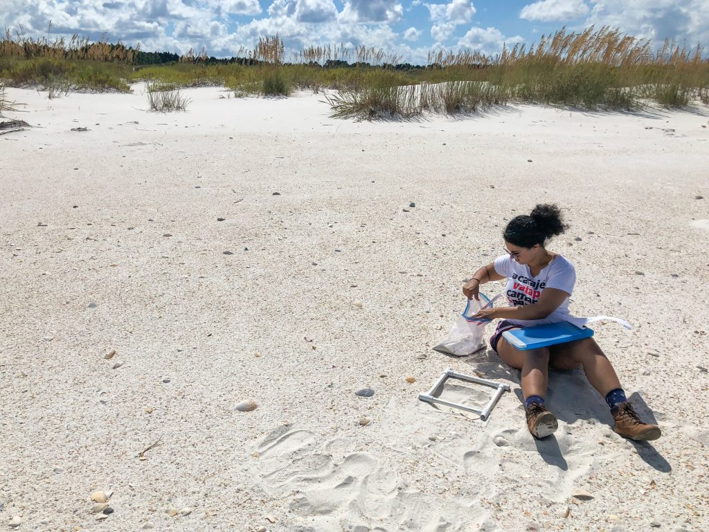 Exposure and risk of marine turtles to marine debris and microplastic