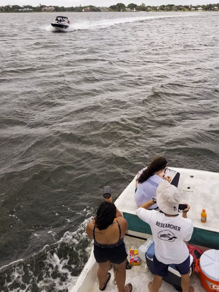 Risk of vessel strike to marine turtles and potential management options