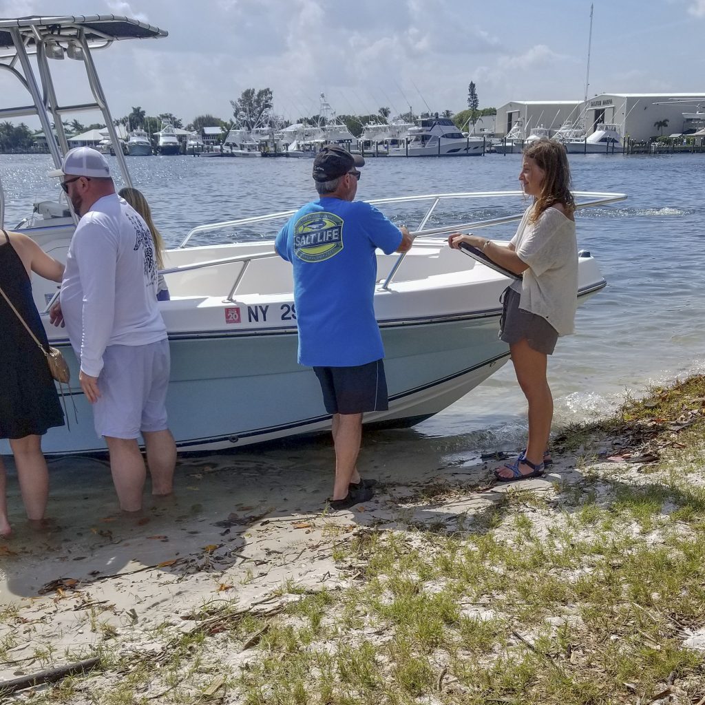 Risk of vessel strike to marine turtles and potential management options