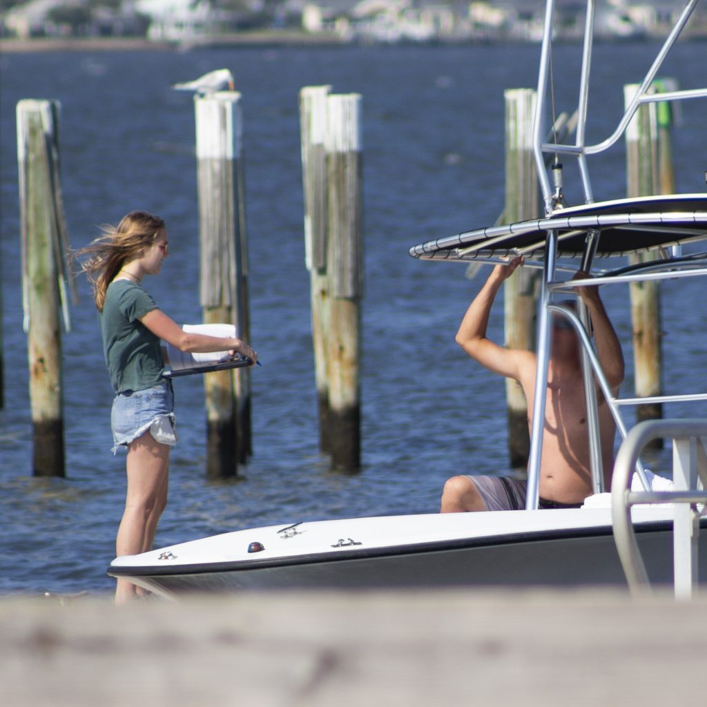 Risk of vessel strike to marine turtles and potential management options