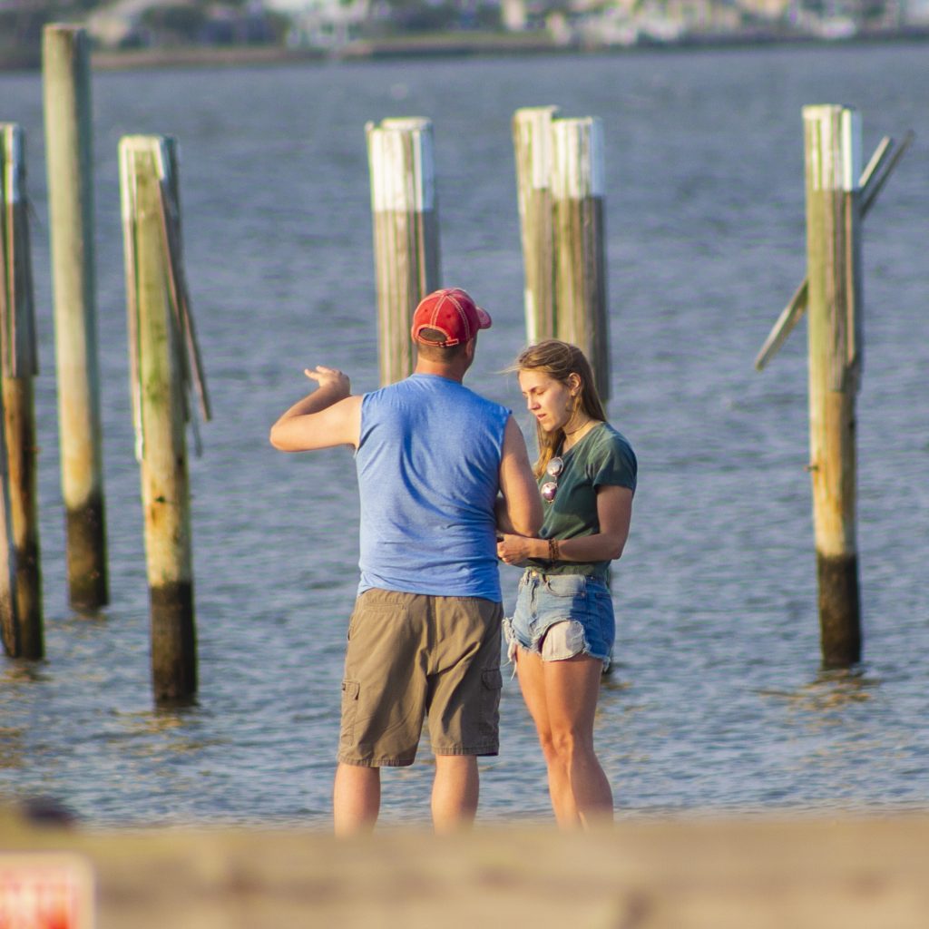 Risk of vessel strike to marine turtles and potential management options