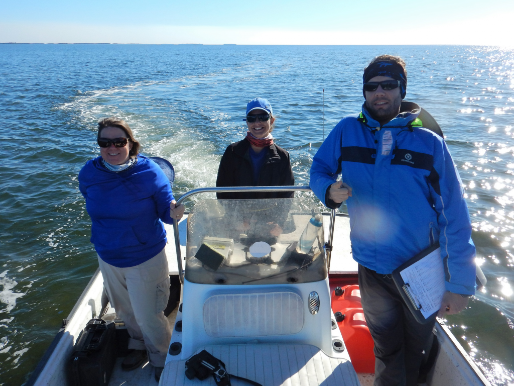 The effects of recreational fisheries on marine turtles