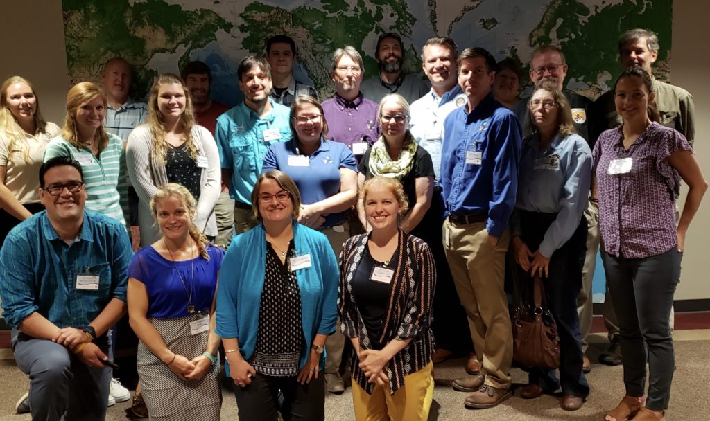 Risk of vessel strike to marine turtles and potential management options