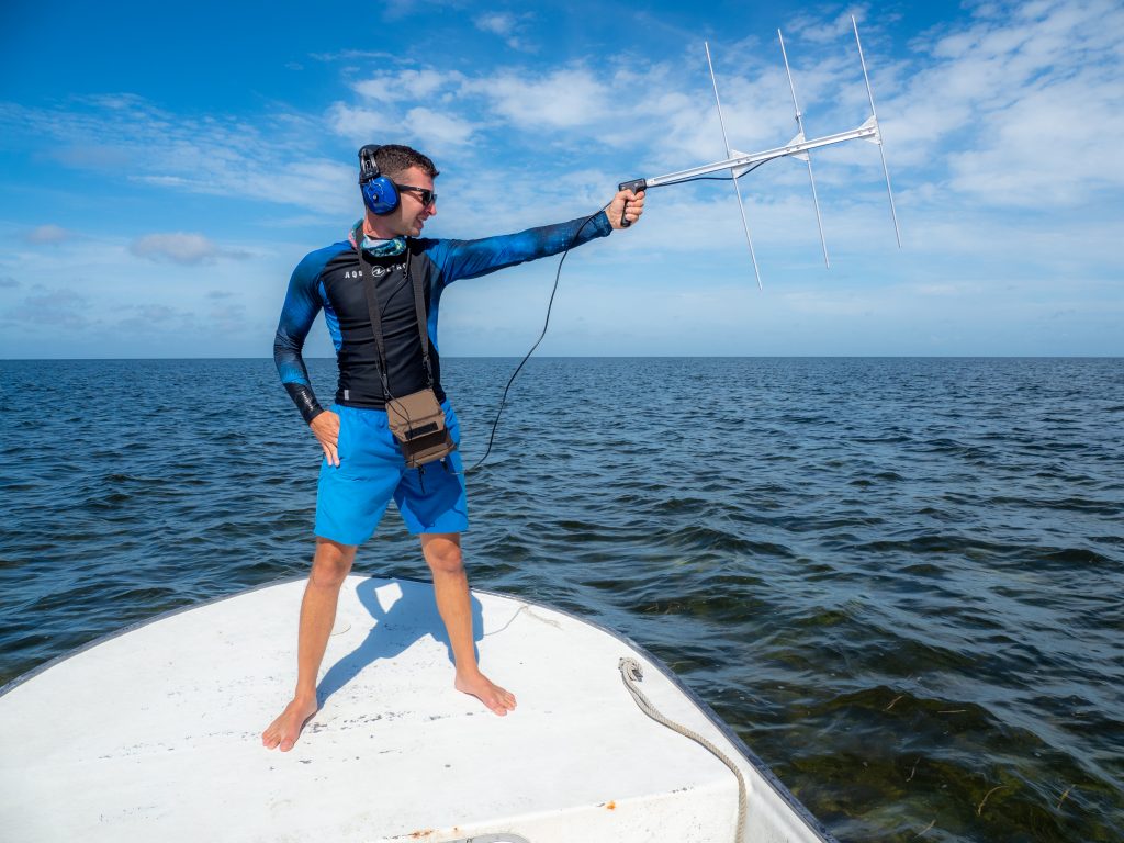 Novel approaches to understand the behavior and ecology of marine turtles_14