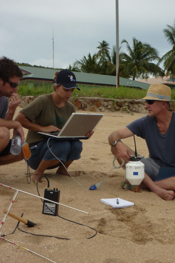 Novel approaches to understand the behavior and ecology of marine turtles_14