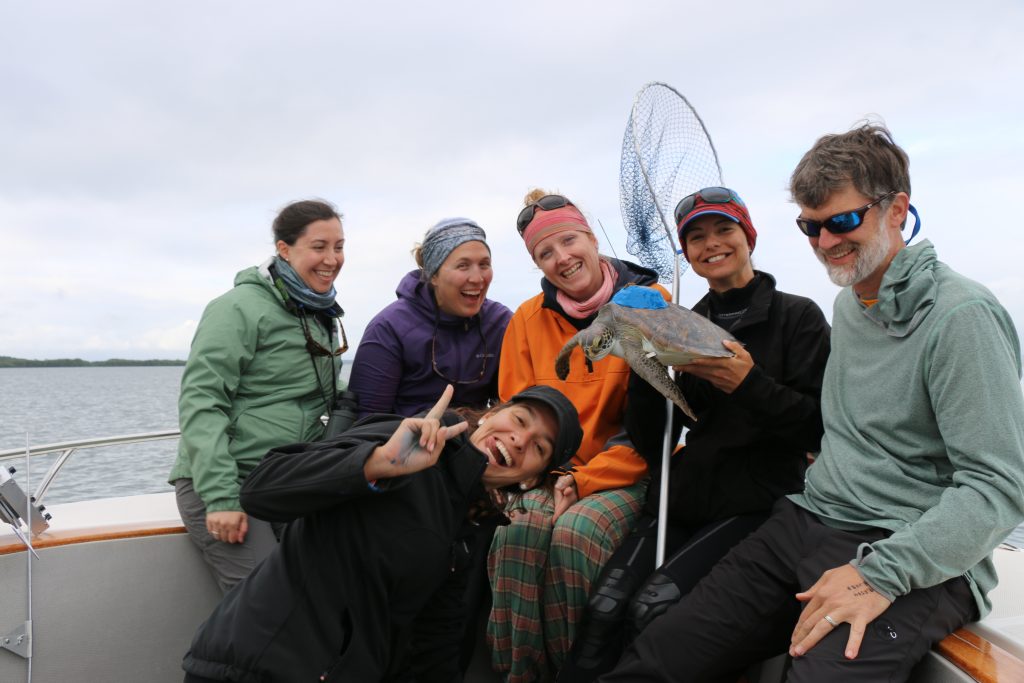 Novel approaches to understand the behavior and ecology of marine turtles_14