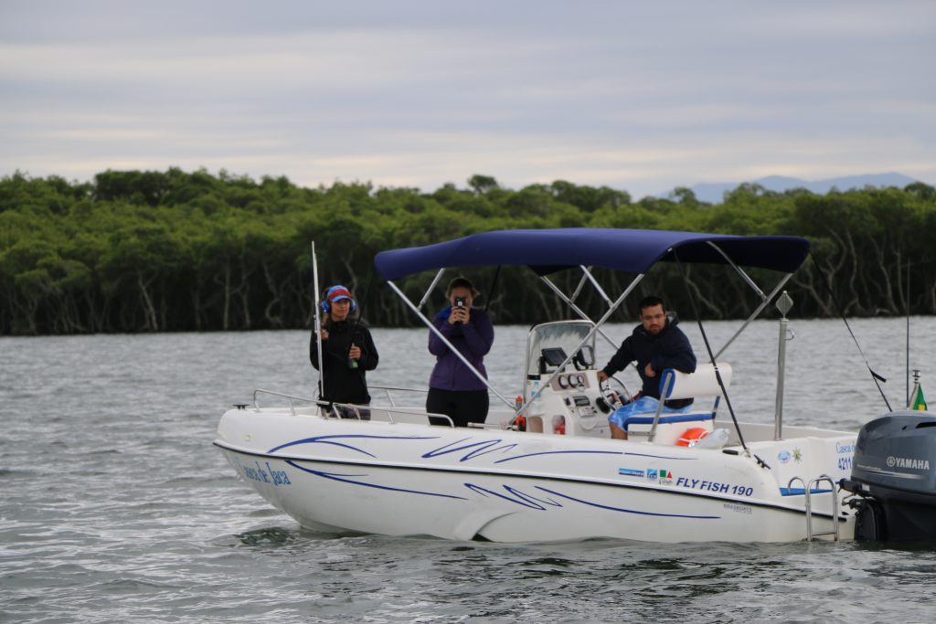 Novel approaches to understand the behavior and ecology of marine turtles_14