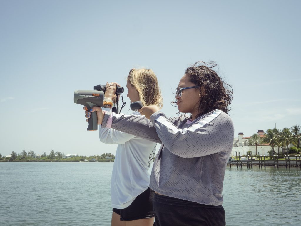 Risk of vessel strike to marine turtles and potential management options_10