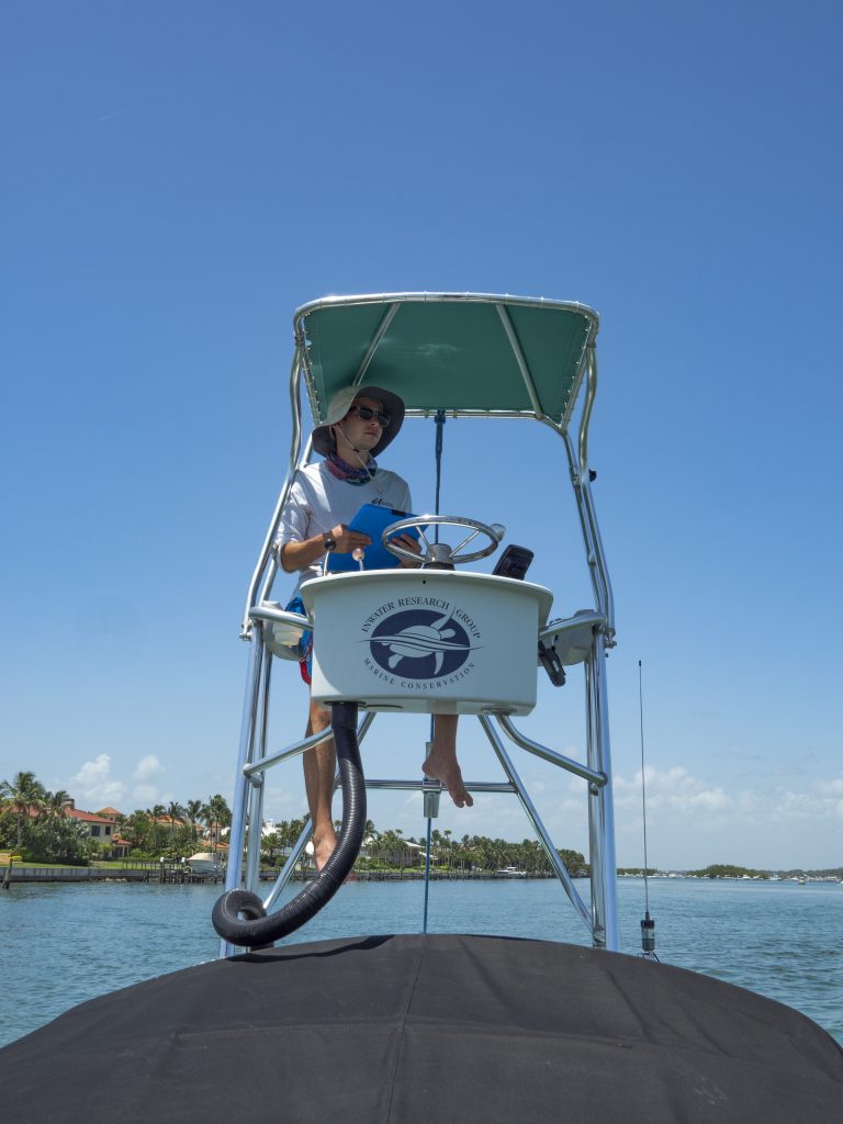 Risk of vessel strike to marine turtles and potential management options