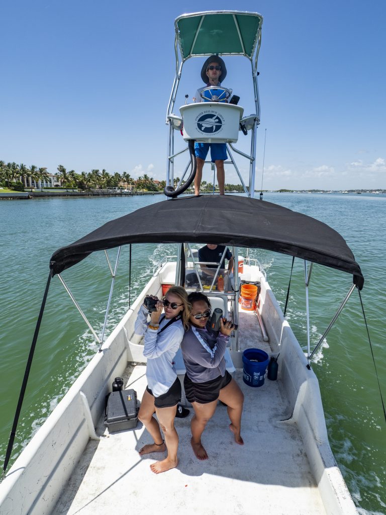 Risk of vessel strike to marine turtles and potential management options