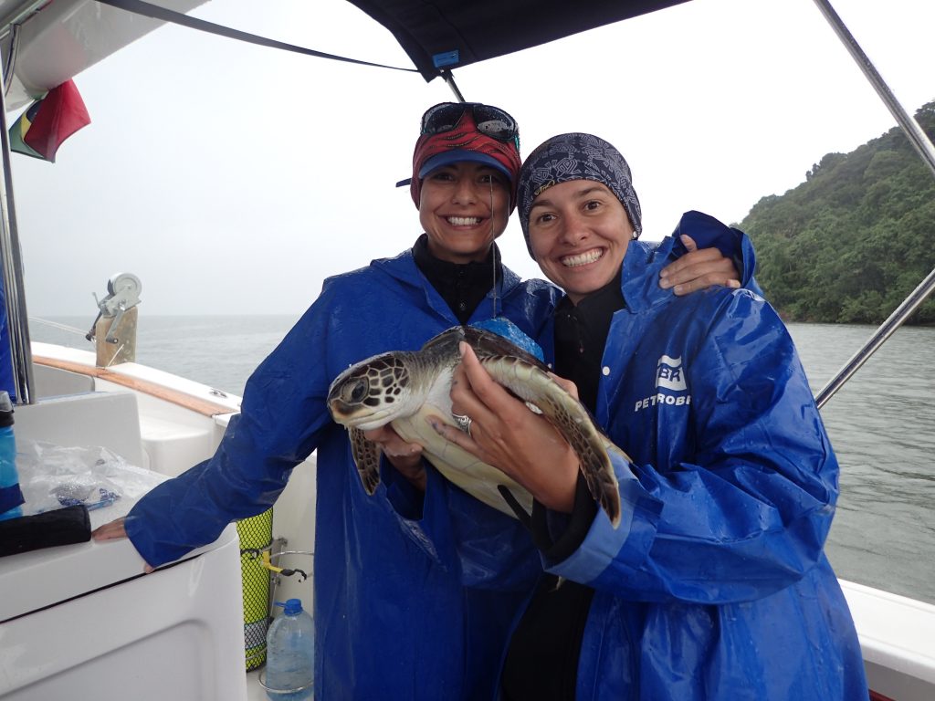 Spatial ecology of marine turtles in Brazil