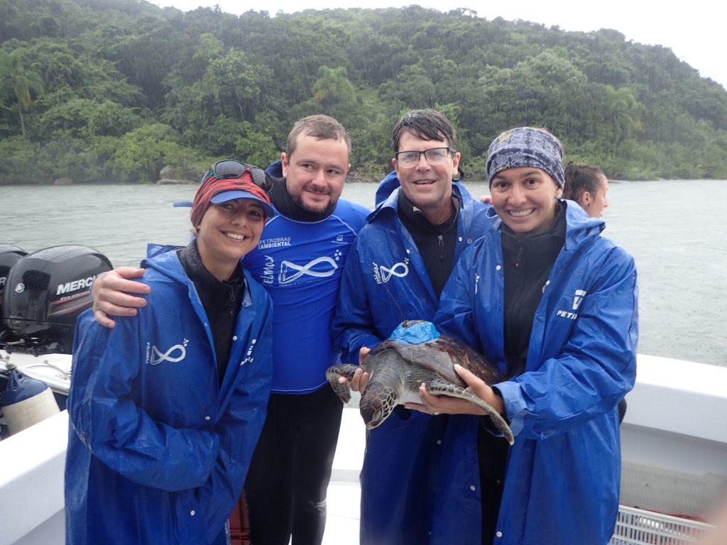 Spatial ecology of marine turtles in Brazil