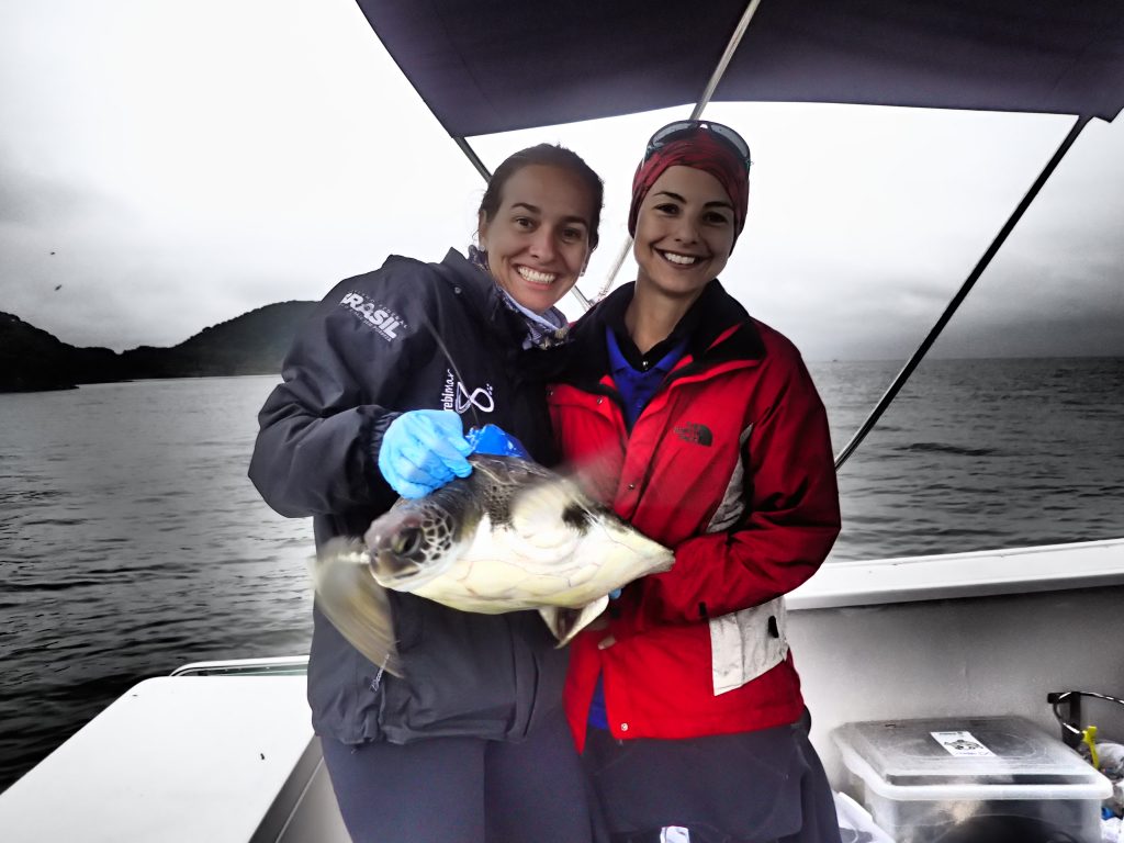 Spatial ecology of marine turtles in Brazil