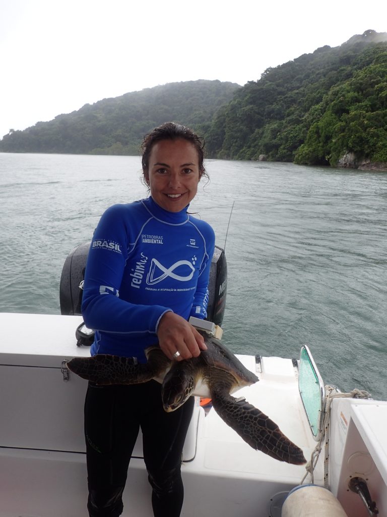 Spatial ecology of marine turtles in Brazil