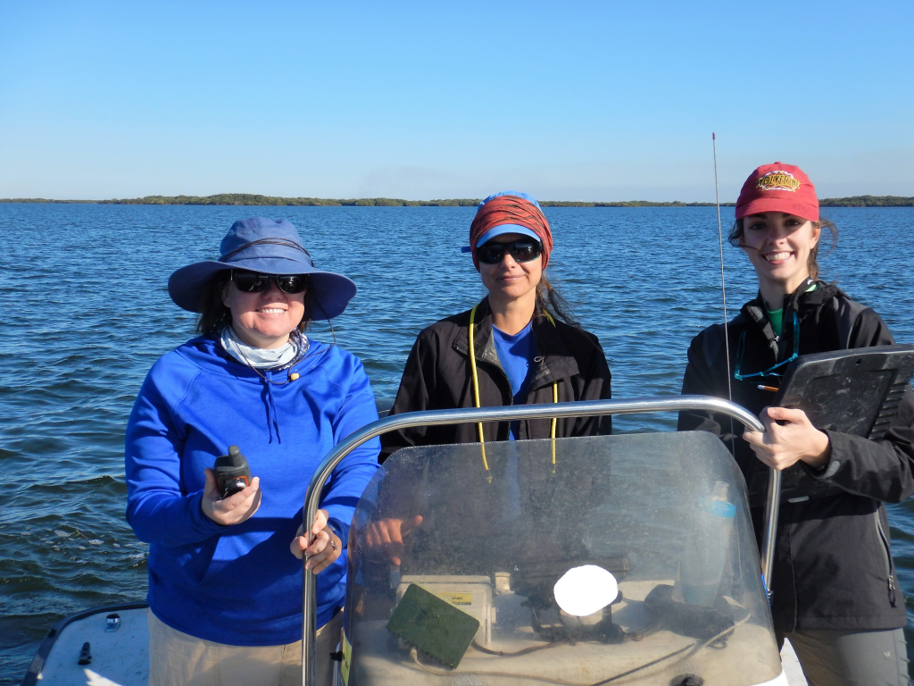 The effects of recreational fisheries on marine turtles