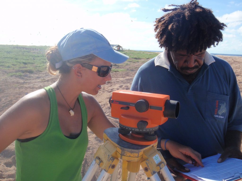 Impacts of sea-level rise, tropical storms and hurricanes on marine turtles