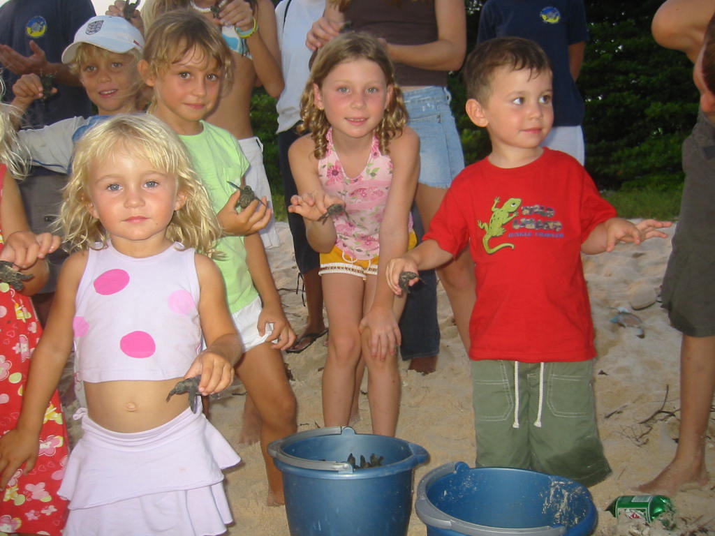 Outreach Marine Turtle Research Ecology and Conservation Group 015