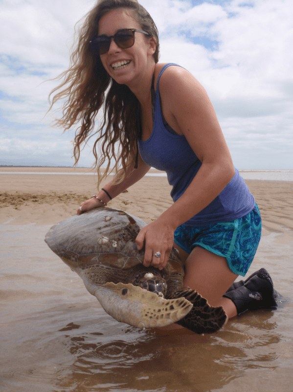 Jess Turtle Ph.D. Submission: Jess Williams — Marine Turtle Research, Ecology, and ...